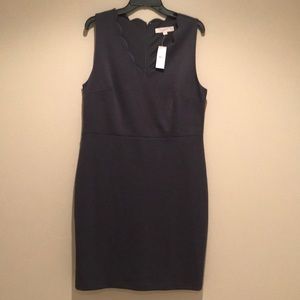 Loft Ponte Dress